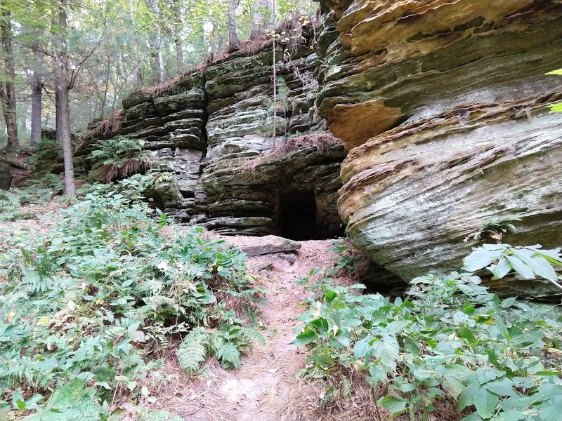 Rocky Arbor State Park (Wisconsin Dells)