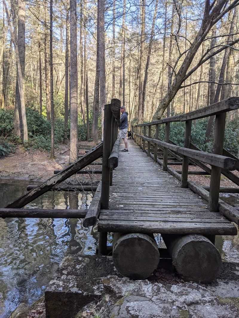 Wildlife And Natural Scenery That Rewards Slow Observation