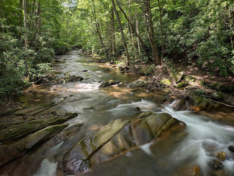 The Doe River Trail And Its Quiet Riverside Charm