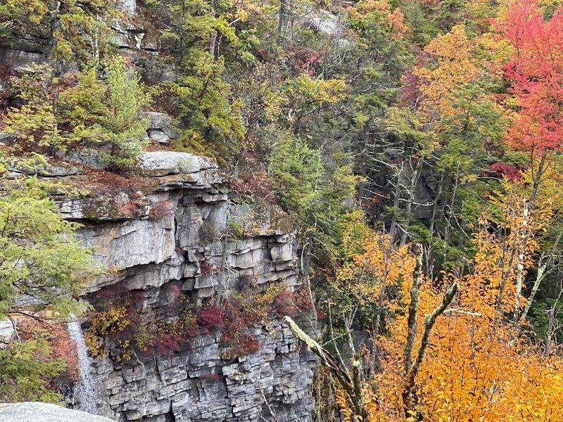 Seasonal Beauty That Changes The Park Entirely