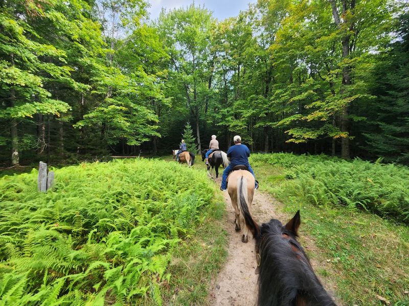 Adirondack Saddle Tours