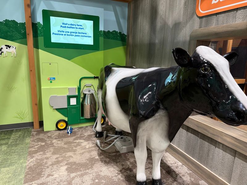 Little Farm And The Dedicated Space For The Youngest Visitors