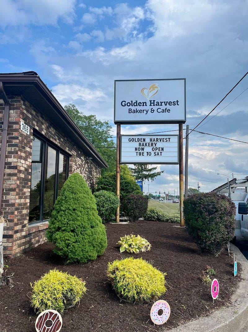 Golden Harvest Cafe — Rochester