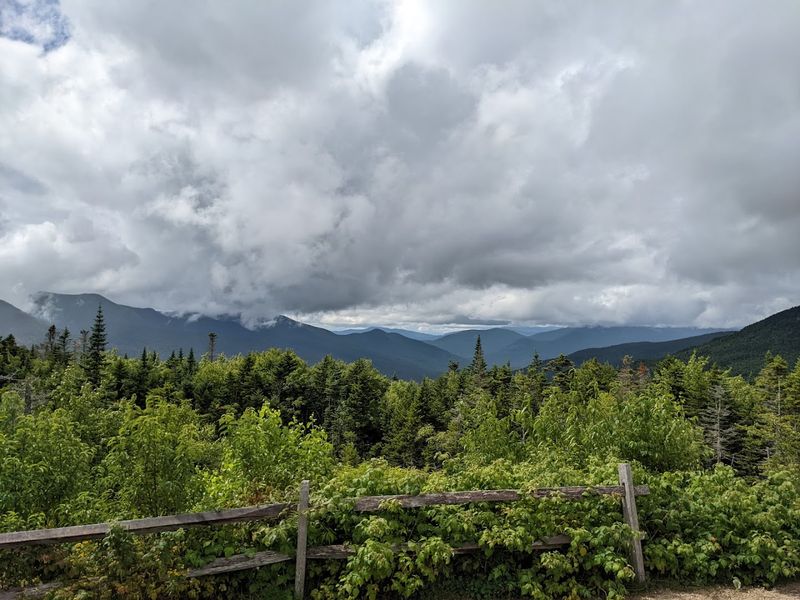 Local Flora And Fauna To Observe