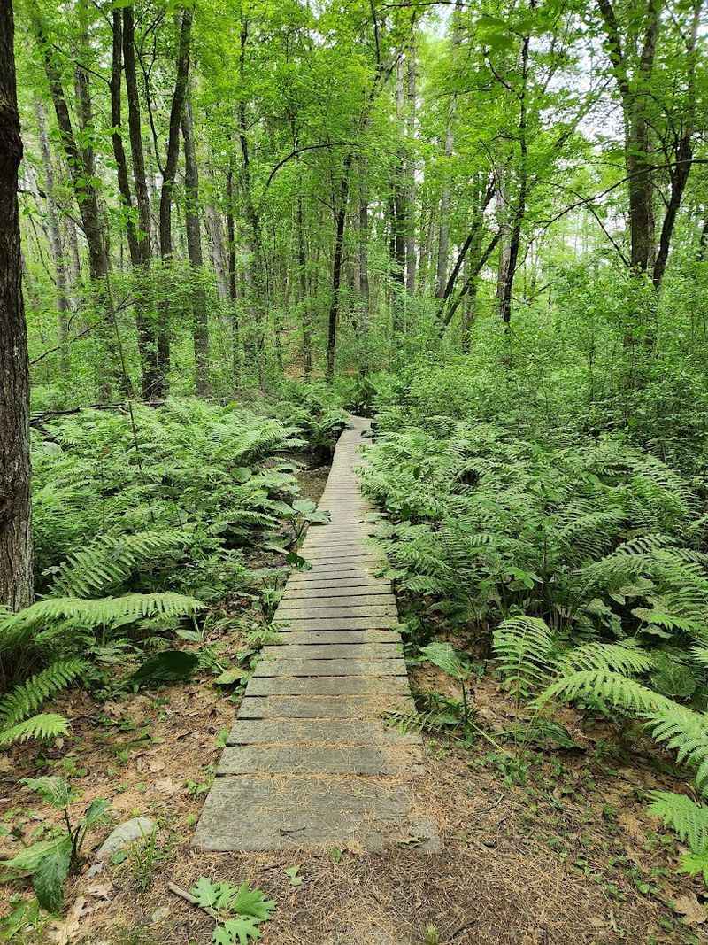 Great Brook Farm State Park, Carlisle