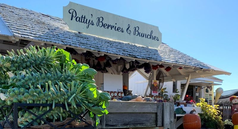 Patty's Berries And Bunches