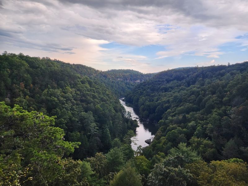 Obed Wild And Scenic River, Wartburg