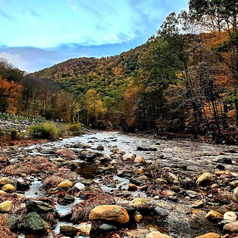 Mohawk Trail State Forest, Charlemont