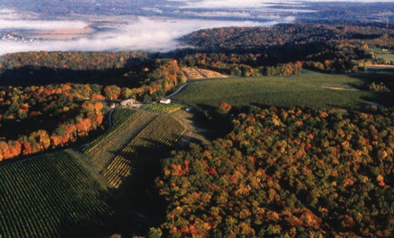 Country Adventures And Tastings