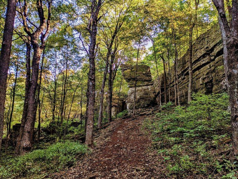 Spring Greenery That Transforms The Landscape