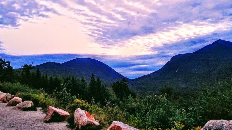 Wildlife Encounters In The Mountain Region