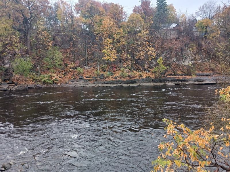 Conservation Efforts Protecting Freshwater Quality