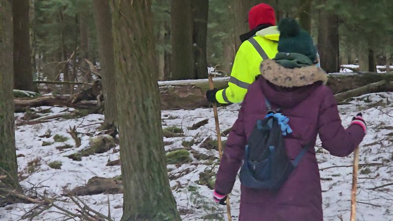 Guided Nature Walks And Educational Programs