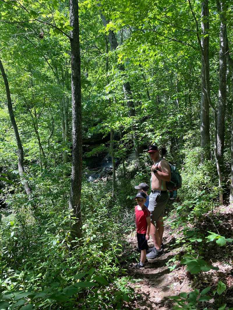 Best Hiking Trails Leading To The Waterfall