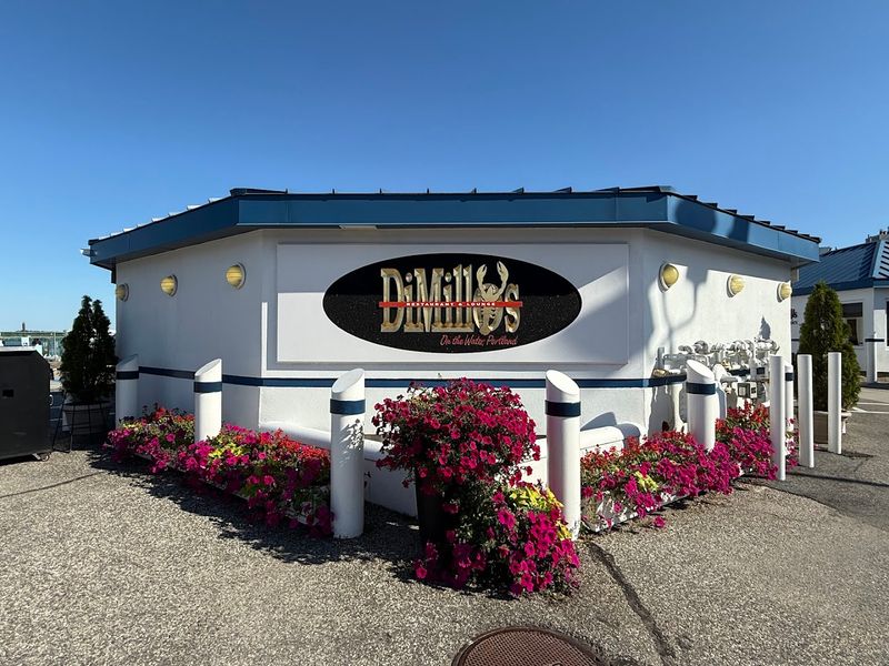 Safety And Accessibility Information