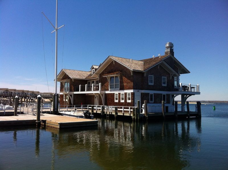 Diverse Marine Life And Conservation Efforts