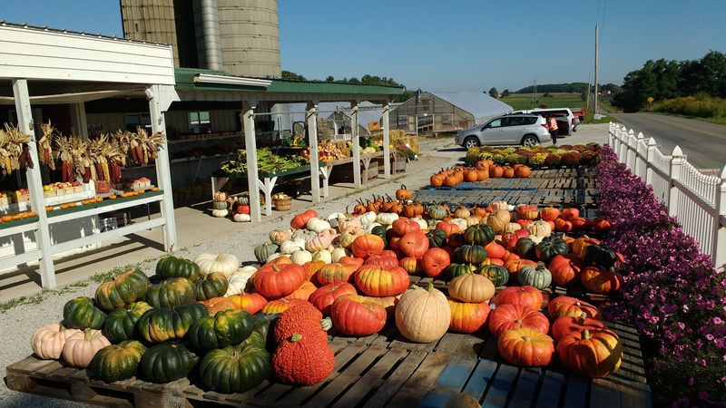 Sustainable Farming Practices That Protect The Environment