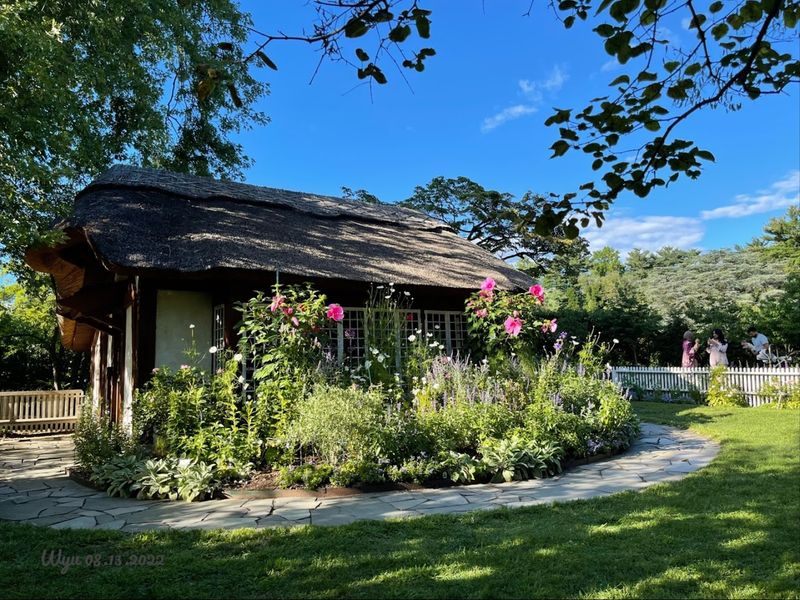 Cafe In The Woods And The Art Of A Proper Lunch Stop