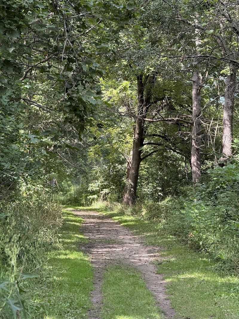 Trails That Add Variety Beyond The Open Field