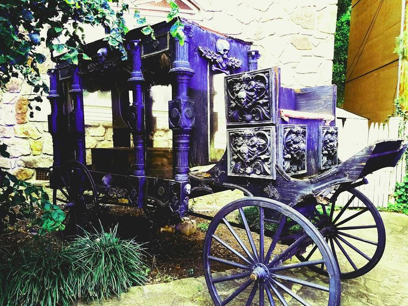 Practical Tips For Getting The Most Out Of Your Visit