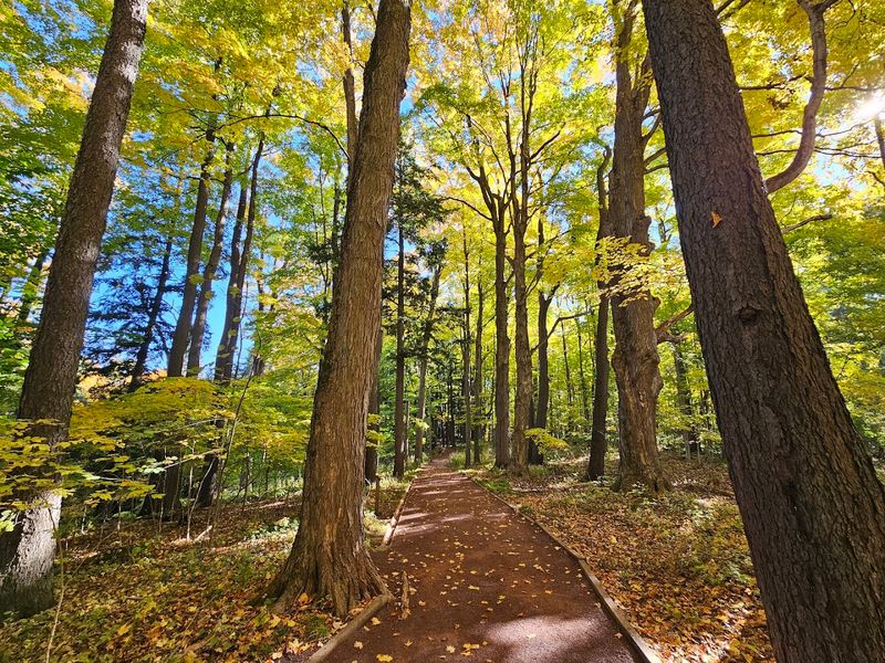 Botanical Diversity That Genuinely Earns Its Reputation