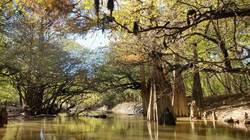 Hatchie National Wildlife Refuge