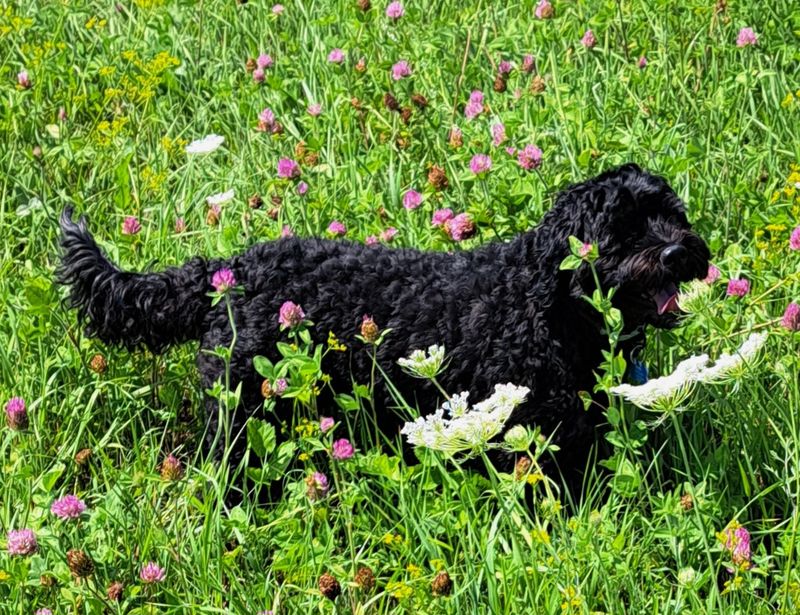 Layout That Encourages Longer Visits