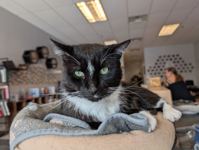 The Adoption Process And What Happens After A Visit