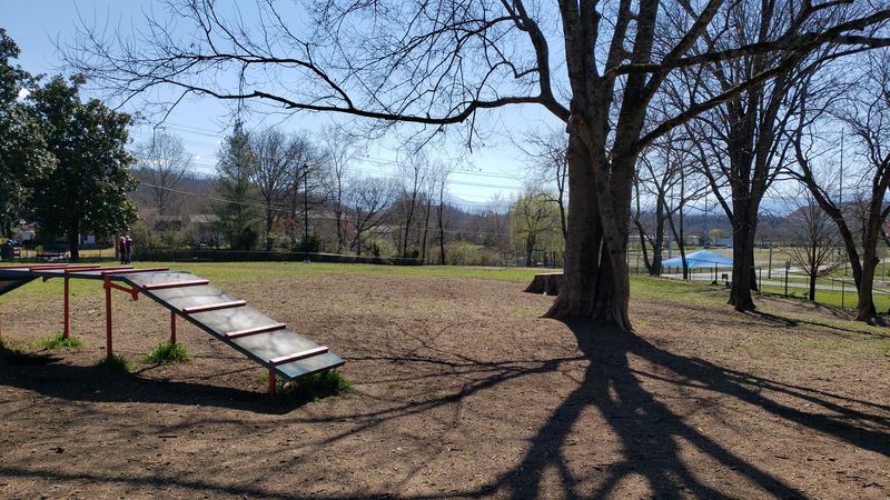 The Dog Park That Makes Four-Legged Family Members Feel Welcome