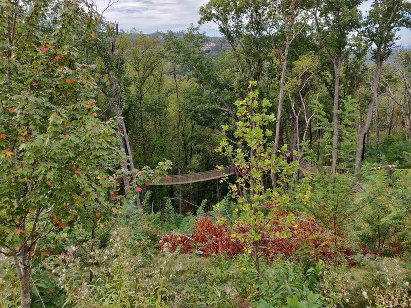 Wildlife Sightings That Make The Walk Unforgettable