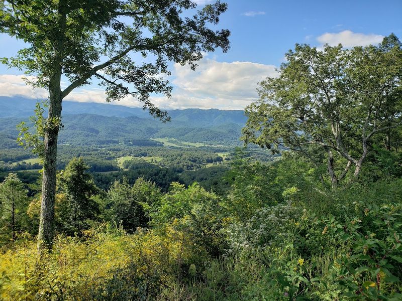 Planning Your 2026 Visit To This Parkway Means Understanding A Few Key Details