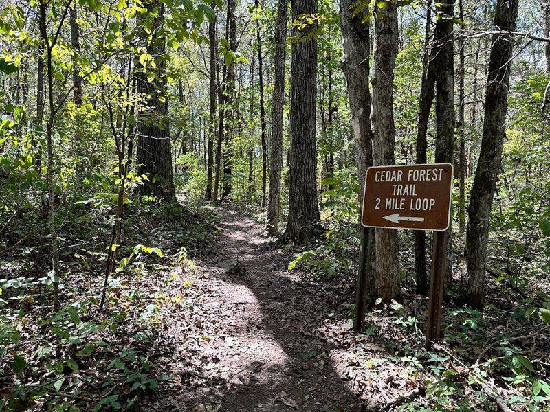 Cedars Of Lebanon State Park, Lebanon