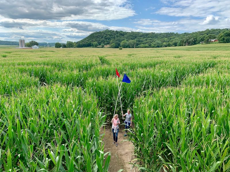 Treinen Farm Corn Maze & Pumpkin Patch (Lodi, WI)