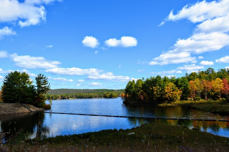 Tully Lake Vista, Royalston