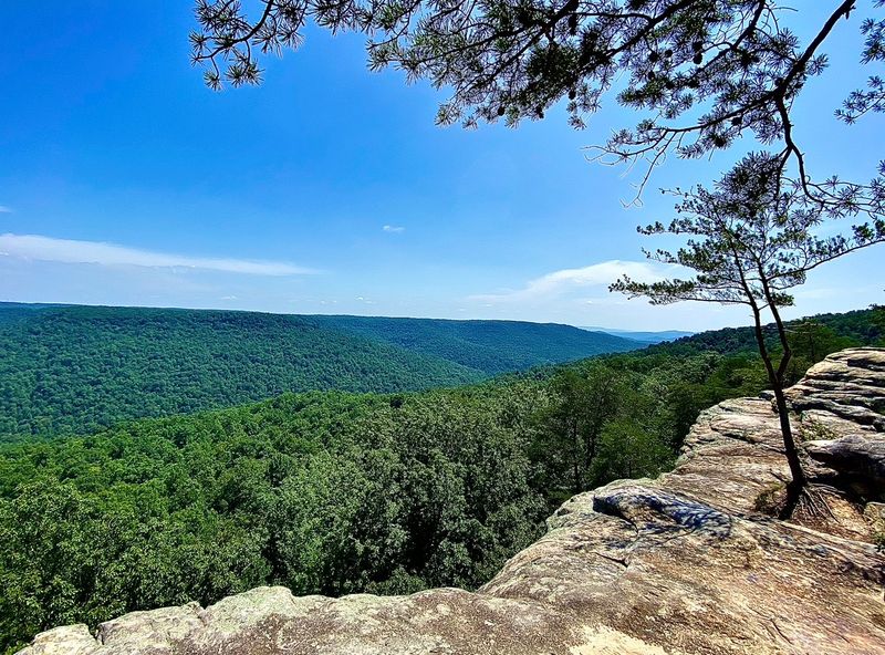 Bee Rock Overlook, Monterey