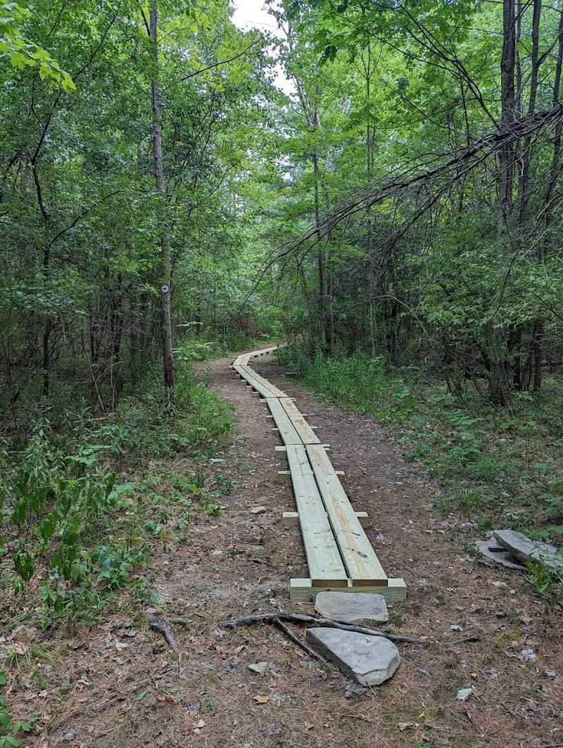 Trail Difficulty And What Hikers Of All Levels Can Realistically Expect