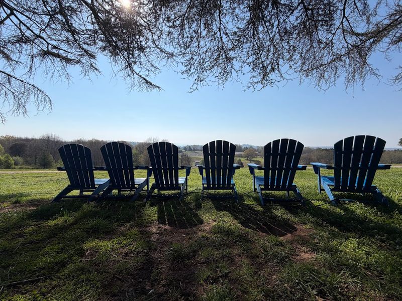 Photography Opportunities That Professional Photographers Actually Seek Out