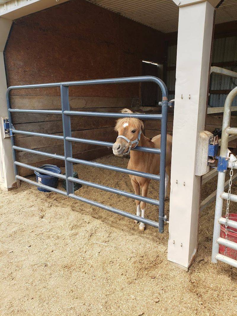 Supporting Local Artisans And Small Businesses