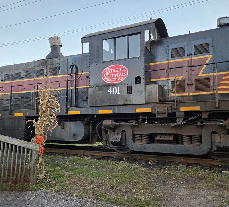 Staff And Atmosphere Make Every Ride Worth Remembering