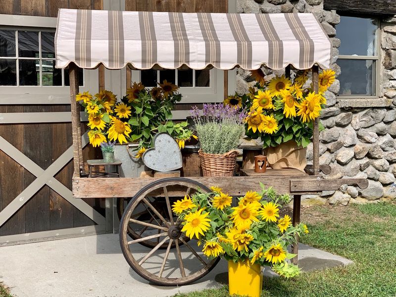 The Gift Shop: Small In Size, Big On Character