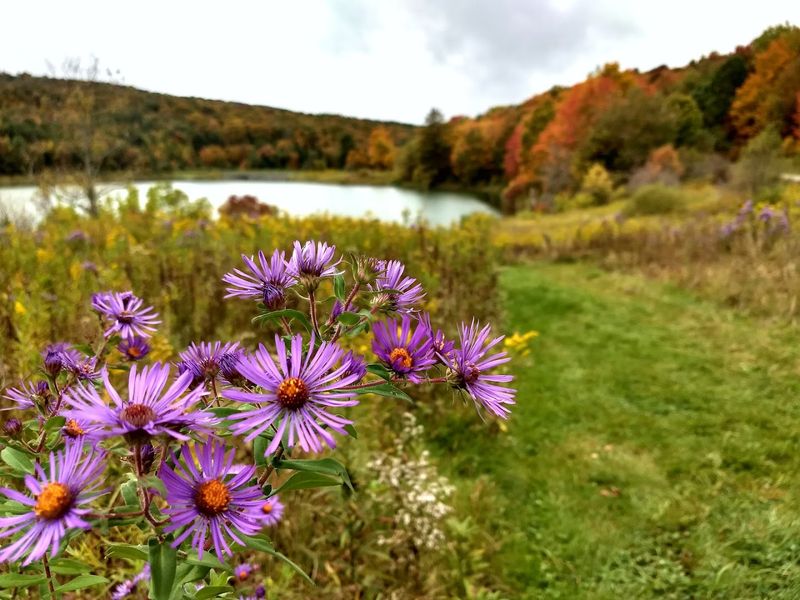 Disc Golf And Recreational Activities Beyond The Water