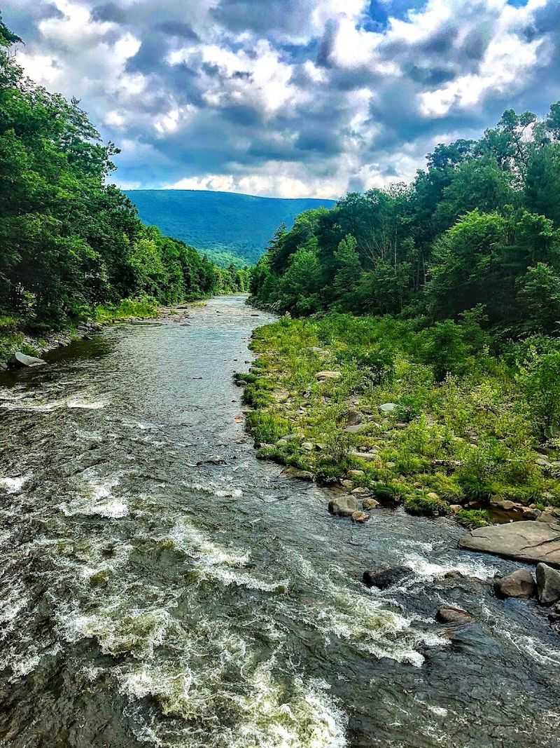 Wildlife And Natural Scenery That Make Every Glance Worthwhile