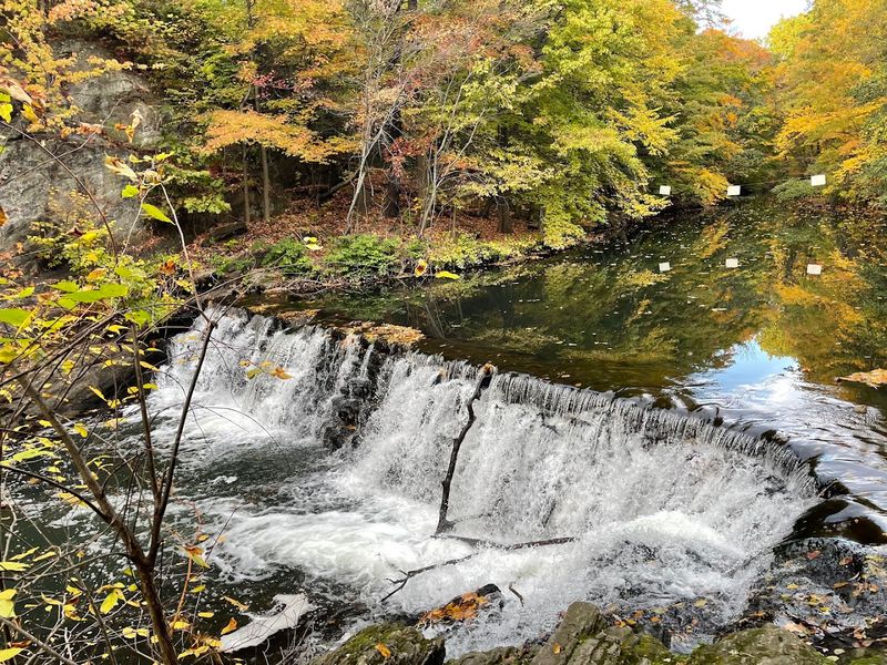 Bronx River Waterfall, NYBG