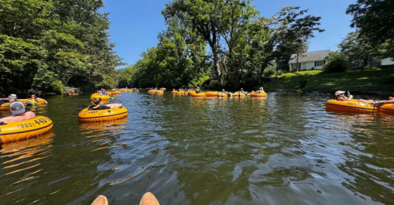 Take The Most Existing Float Trip In Tennessee This Summer On The Little River