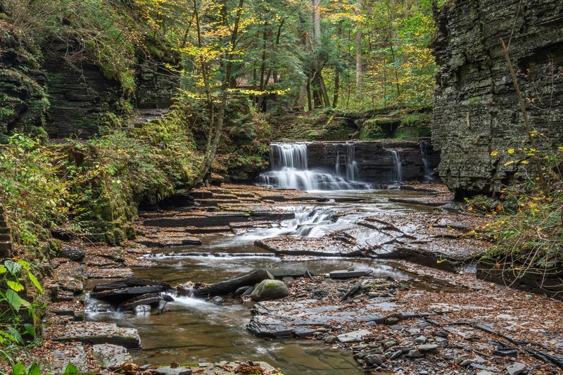 Fillmore Glen Gorge Trail - Fillmore Glen State Park (Finger Lakes)