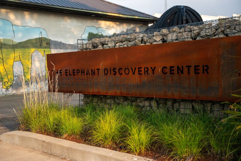 The Elephant Sanctuary, Hohenwald