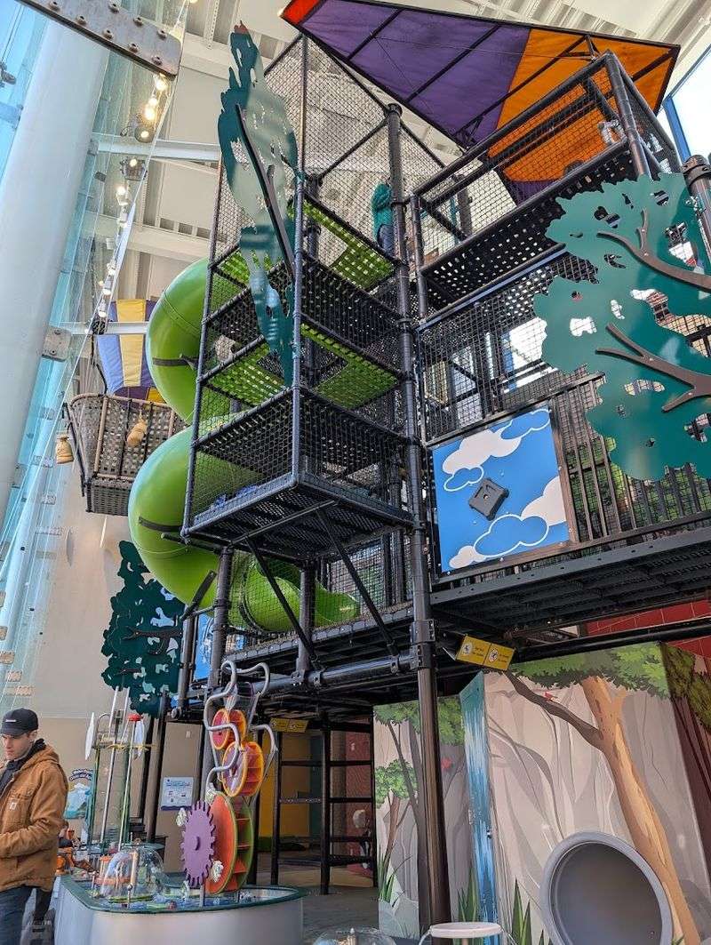 The TreeHouse Adventure: Climbing, Crawling, And Discovering At Every Level