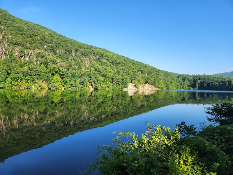 Hessian Lake And The Duck Pond That Steals Every Single Photograph