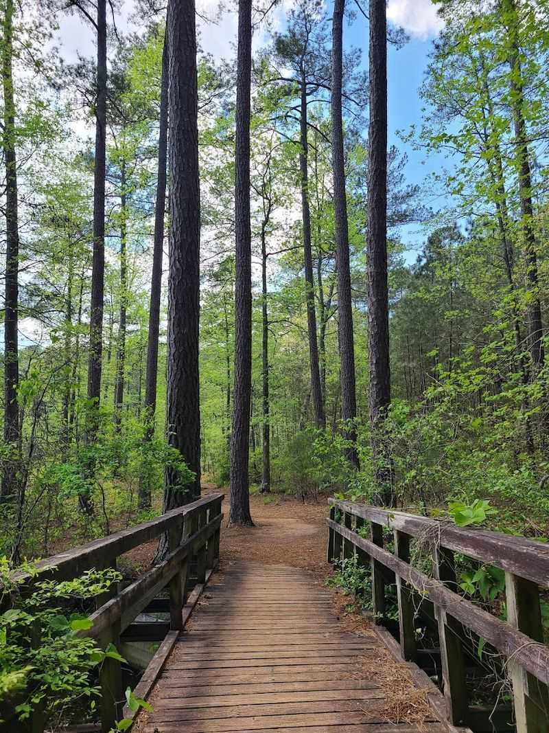 Hiking Trails For Every Kind Of Adventurer