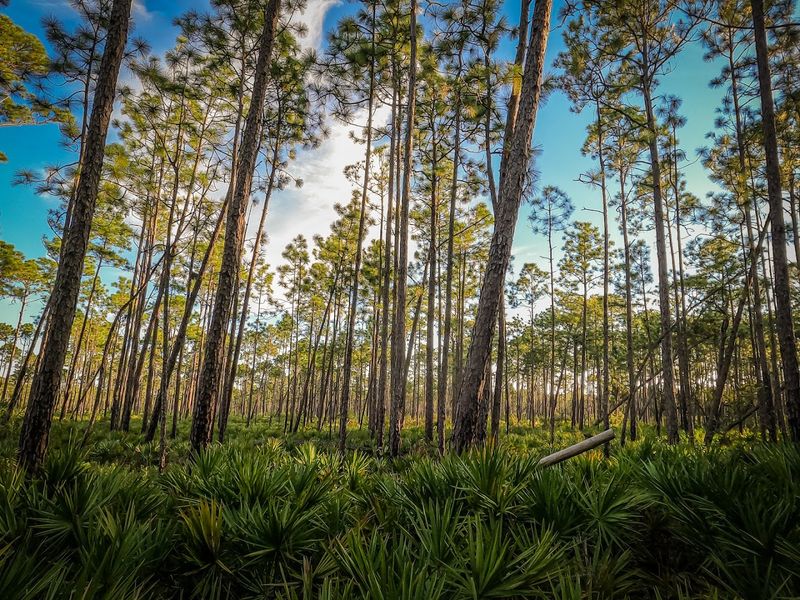 Unique Ecosystems And Landscape Features